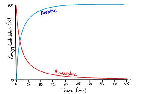 Don't Get Dropped! The Importance of Aerobic Threshold Training - I Love Bicycling