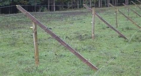 Deer Proof Garden Fencing Idea | The Interior Design Inspiration Board | Deer fence, Deer proof ...