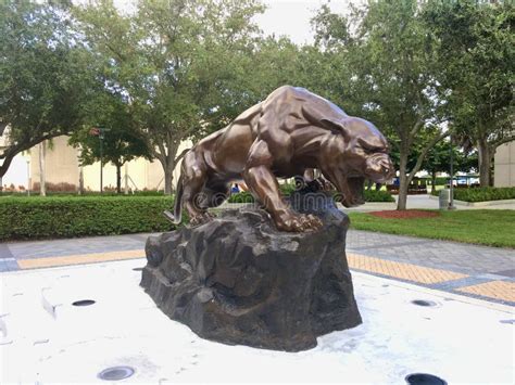 Roary the Panther, Florida International University Mascot Editorial ...