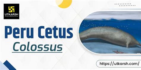 Fossils of Whale Perucetus colossus