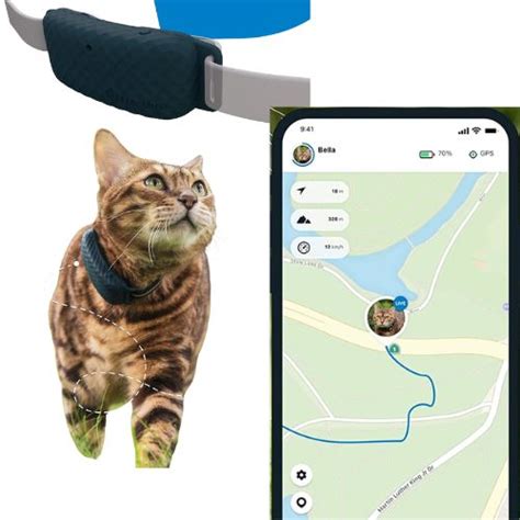 The 6 Best GPS Trackers for Cats - in October 2024