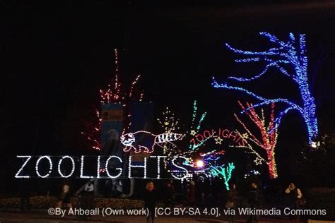 Zoo Lights Washington DC - The Unofficial Guides