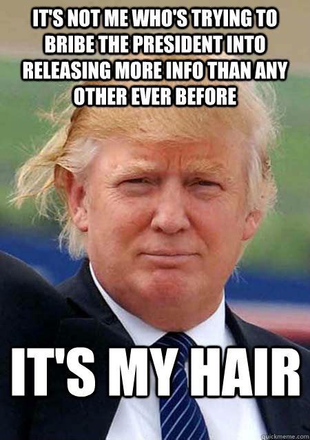 As 25 melhores ideias de Donald trump hair meme no Pinterest