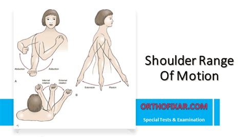 Normal shoulder range of motion - pcgulu