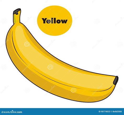 Banana is yellow stock illustration. Illustration of portrait - 90774023