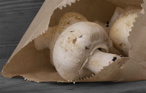 How to Store Mushrooms: The Best Methods to Keep Them Fresh | GroCycle