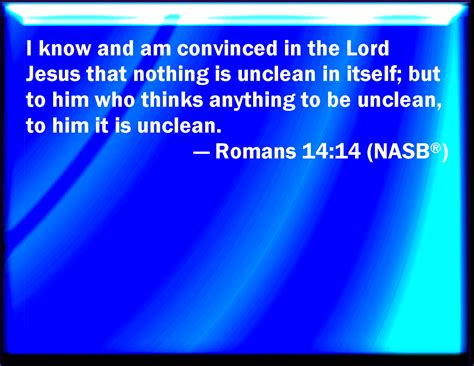 Romans 14:14 I know, and am persuaded by the Lord Jesus, that there is nothing unclean of itself ...