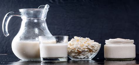 A Guide To Dairy Alternatives – TFE Times