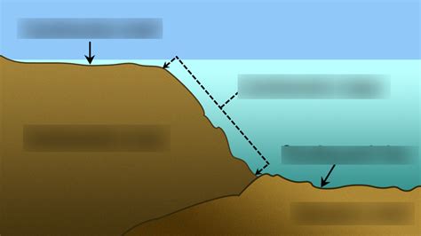 Ocean Floor Terms Diagram | Quizlet