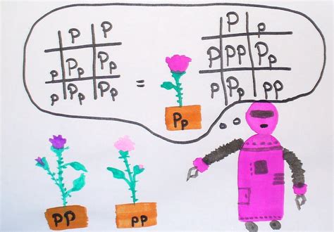 Explainer: what is a gene?