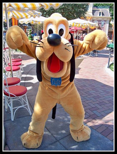 Pluto Costume | Disney, Disney world, Disney world rides