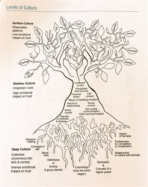 The Culture Tree! in 2023 | Cultural competence, School culture, Culture