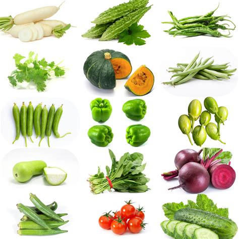 15 Varieties Rainy Season Vegetable Seeds Combo (15 Best Vegetable ...