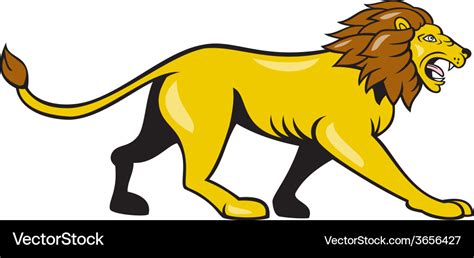 Angry lion walking roar cartoon Royalty Free Vector Image