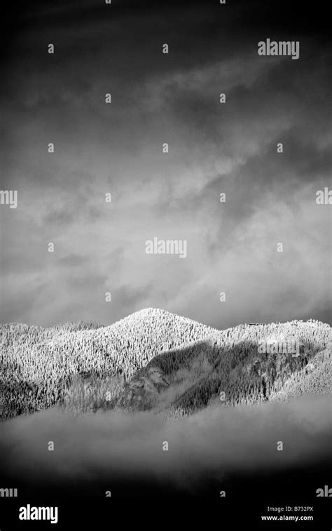 Vancouver snow covered mountains float above fluffy clouds. Black and white high contrast winter ...