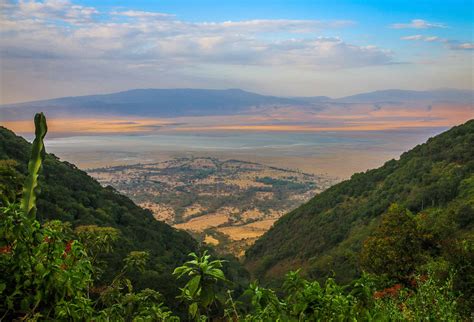 Exploring Ngorongoro Conservation Area (Time in a Bottle) - Green Global Travel