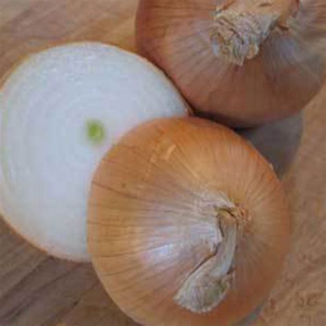 Yellow Sweet Spanish Onion Seeds - 1 g ~300 Seeds - Heirloom, Open Pollinated, Non-GMO, Farm ...