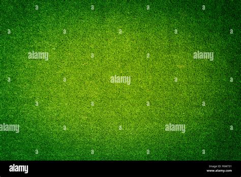 Green Grass Floor Background Stock Photo - Alamy