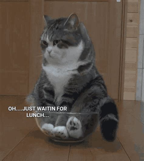 Lunch Funny GIF - Lunch Funny WaitingToEat - Discover & Share GIFs