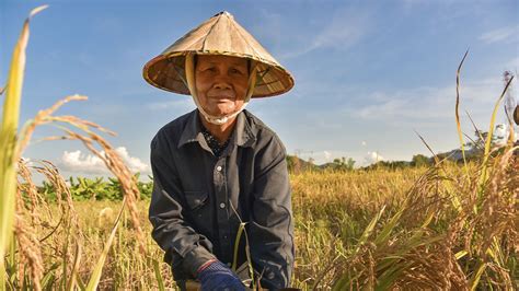 Vietnam’s Agricultural Sector: A Quick Guide for 2023