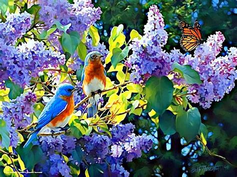 BIRDS on the flowers at SPRING, art, painting, birds, flowers, nature, spring, HD wallpaper | Peakpx