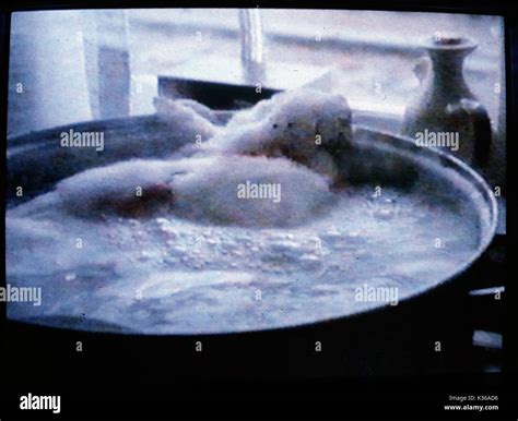 FATAL ATTRACTION BUNNY IN POT SCENE VIDEO GRAB Date: 1987 Stock Photo - Alamy