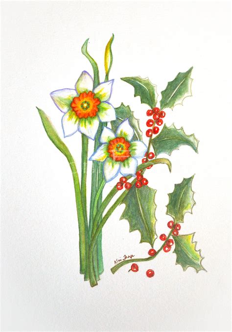 Narcissus and Holly, December Birthday Flower, Original Watercolor ...