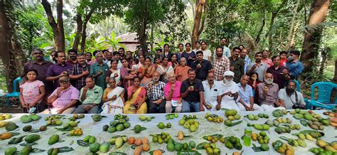 One Indian Village, More Than 100 Varieties of Mangoes - Gastro Obscura