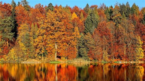 How Climate Affects the Look and Feel of Fall | Blog | Nature | PBS