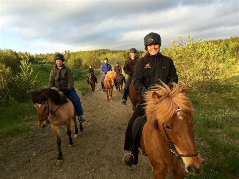 Viking Horses Riding Club | Private Lessons | Reykjavik Iceland