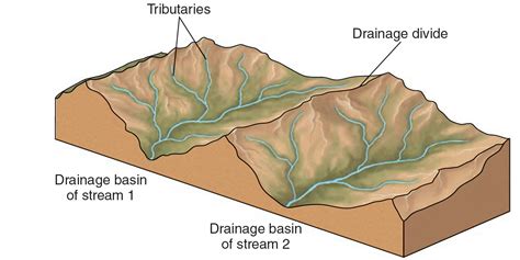 DRAINAGE BASINS - World Rivers