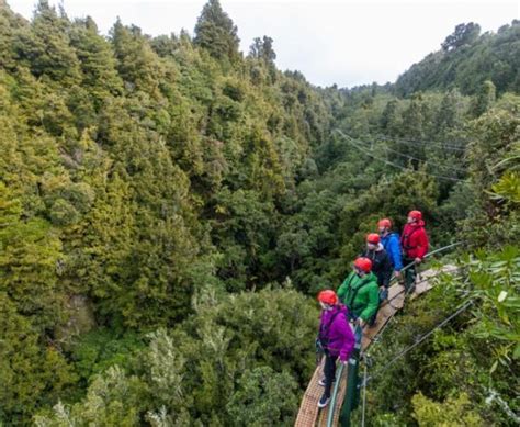 Rotorua Zipline Canopy Adventure Eco Forest Tours