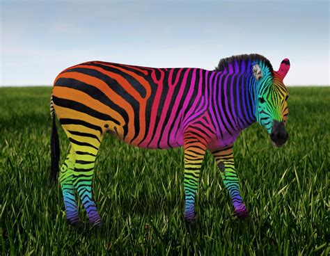 "Rainbow Zebra" by Kitty Bitty | Redbubble