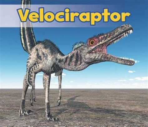 Velociraptor | NHBS Academic & Professional Books