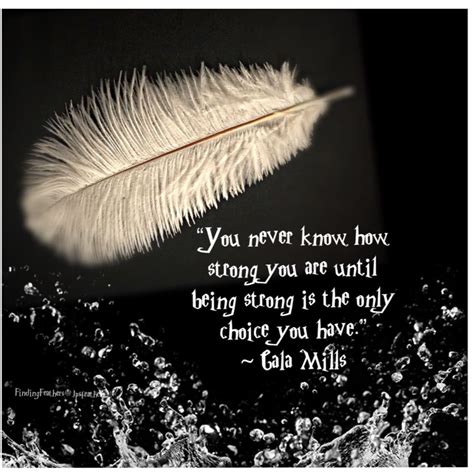 Pin by JP’S Potpourri on Finding feathers | Everyday quotes, Quotes ...