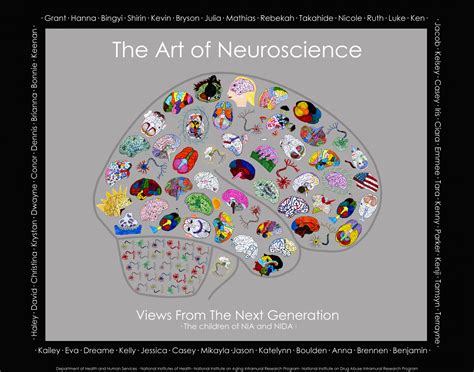 The Art of Neuroscience: Kids' poster of brain.... | Brain art ...