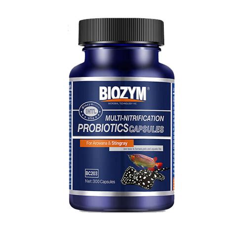 Biozym Multi-Nitrification Bacteria Capsules Arowana & Stingray | Aquarium Treatment ...