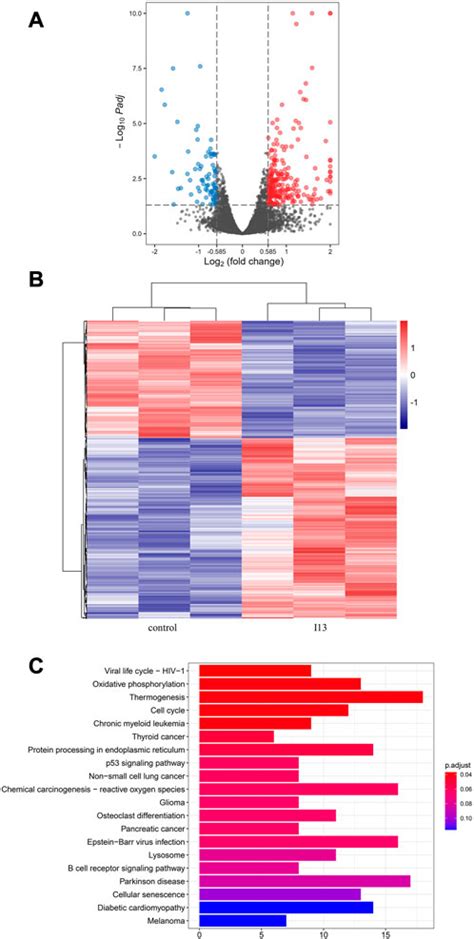 Frontiers | I13 overrides resistance mediated by the T315I mutation in chronic myeloid leukemia ...