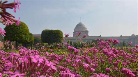 Amrit Udyan is new name for Mughal Gardens at Rashtrapati Bhavan: 'Historic...' | Latest News ...