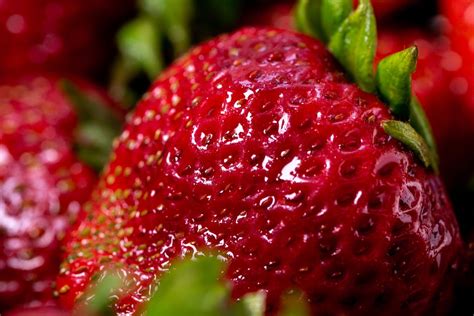 Close-Up Photo of Strawberry Fruit · Free Stock Photo