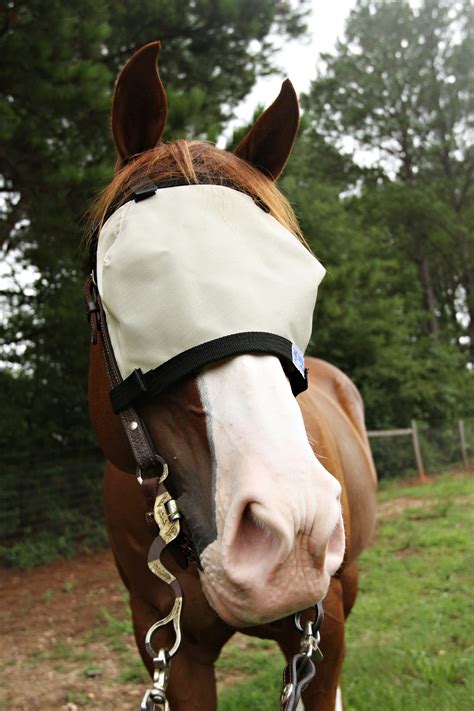 Nag Horse Ranch Attach to Bridle Eye Only Shade / Fly Mask | Charlies ...