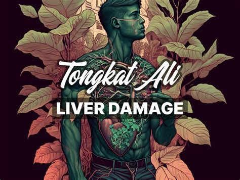 Tongkat Ali Side Effects: Liver Damage and What You Need to Know ...