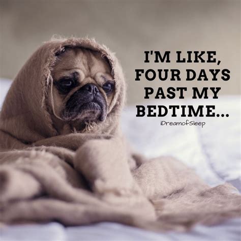 16 Hilarious Can't Sleep Quotes and Sayings Only Insomniacs will ...