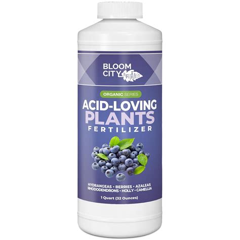 Amazon.com : Bloom City's Acid-Loving Plant Fertilizer - Soil Acidifier ...