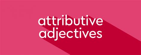 What Is An Attributive Adjective? | Thesaurus.com