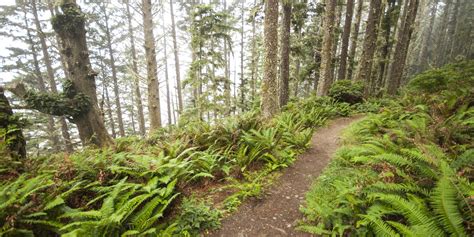 16 Best Hikes on the Washington Coast - Outdoor Project