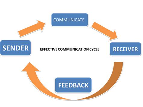 The communication cycle | The Training Box