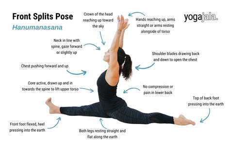 List Of Yoga Poses And Counterposes | Blog Dandk