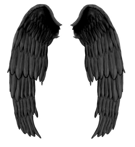 Demon Wings Side View PNG Free Download | PNG Arts