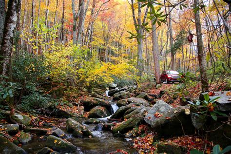 Gatlinburg Roaring Fork Motor Nature Trail | The Smoky Mountains Are ...